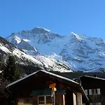 Sunny Bijou - Ski-in, Ski-out - By Daire *