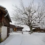 Sunny Bijou - Ski-in, Ski-out - By Daire